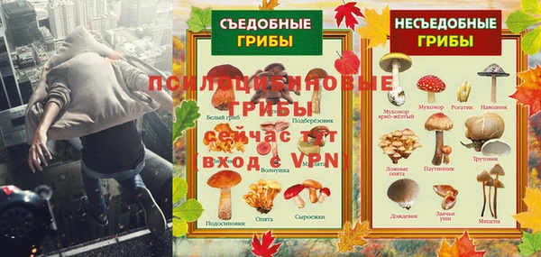кокс Белокуриха