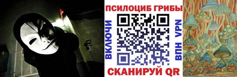 Галлюциногенные грибы Psilocybine cubensis  где продают наркотики  Обь 