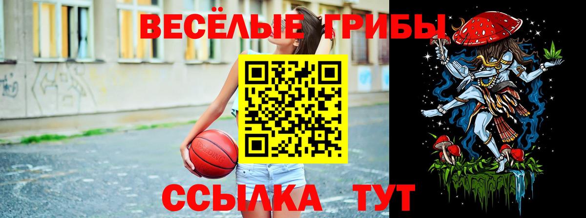 Галлюциногенные грибы ЛСД Обь